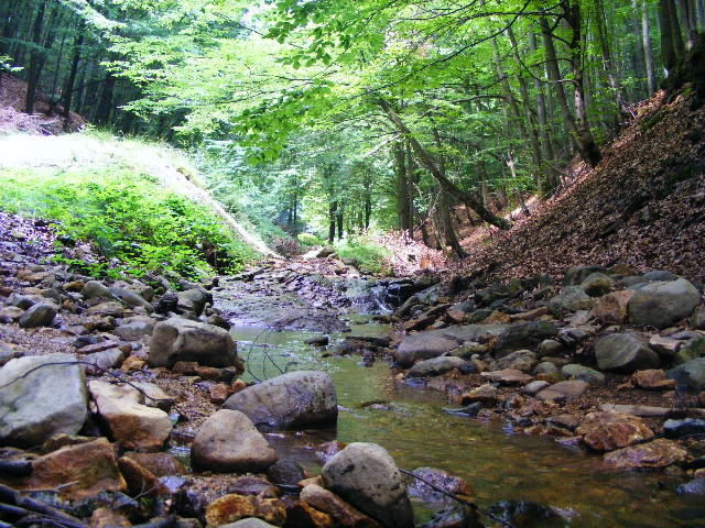 DSCF4853 - Firiza_Maramures