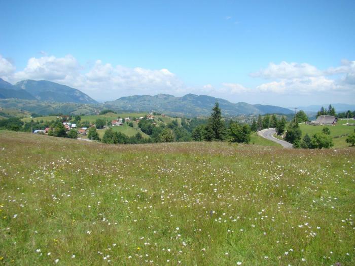 DSC02092 - Concediu 2008