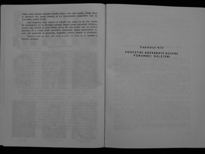 Ovidiu Leonte -Porumbeii galateni 092 - Carti despre Porumbei - - Books about Pigeons