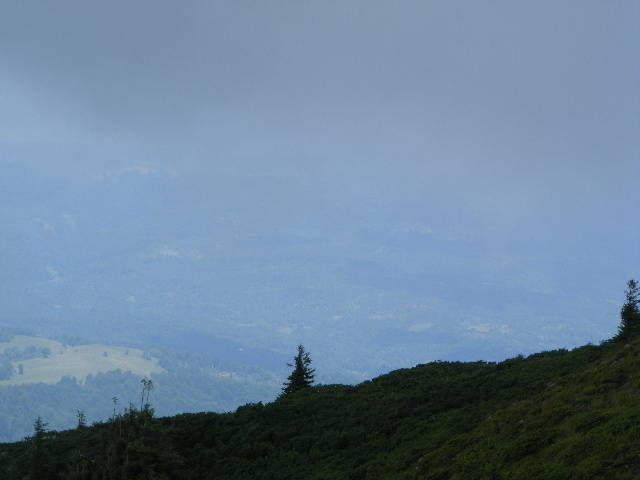 DSCF3123