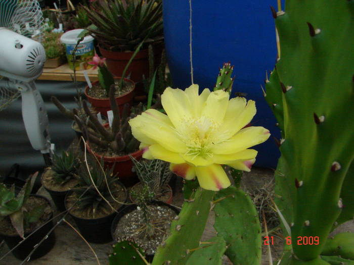 DSC06232