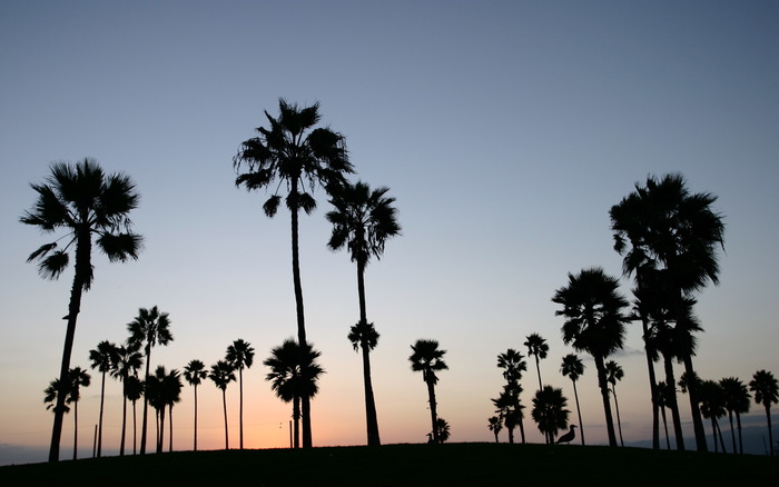 993_venicebeach_1440x900