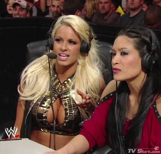 wwe_maryse_ouellet_cleavage7_lg