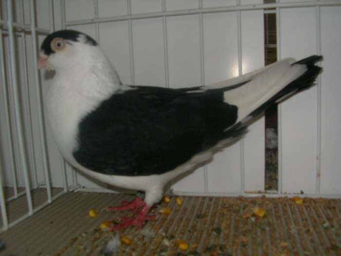 SANY0120