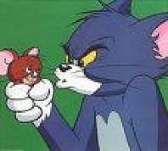 CEMBMUFPRRHFUOGRITF - poze Tom si Jerry