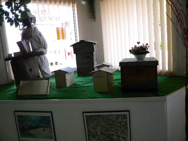 DSCN1936