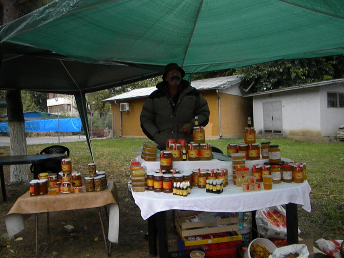 DSCN3181