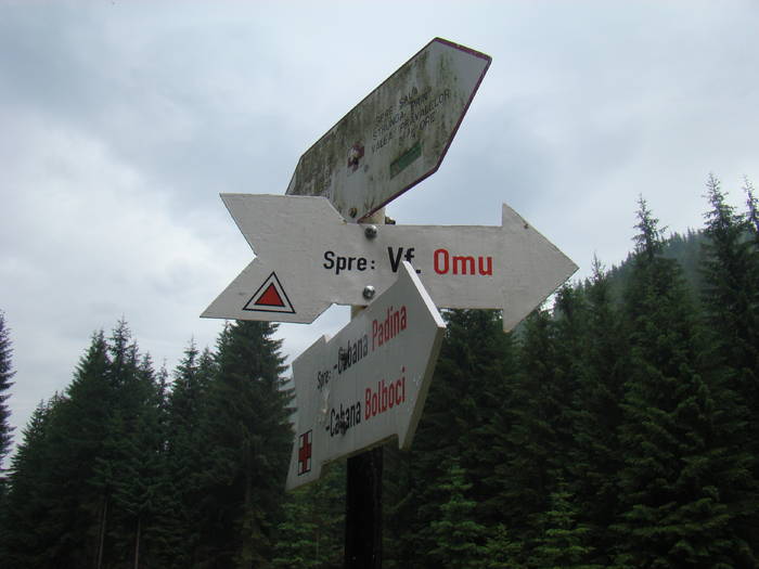 DSC03931 - Concediu 2009