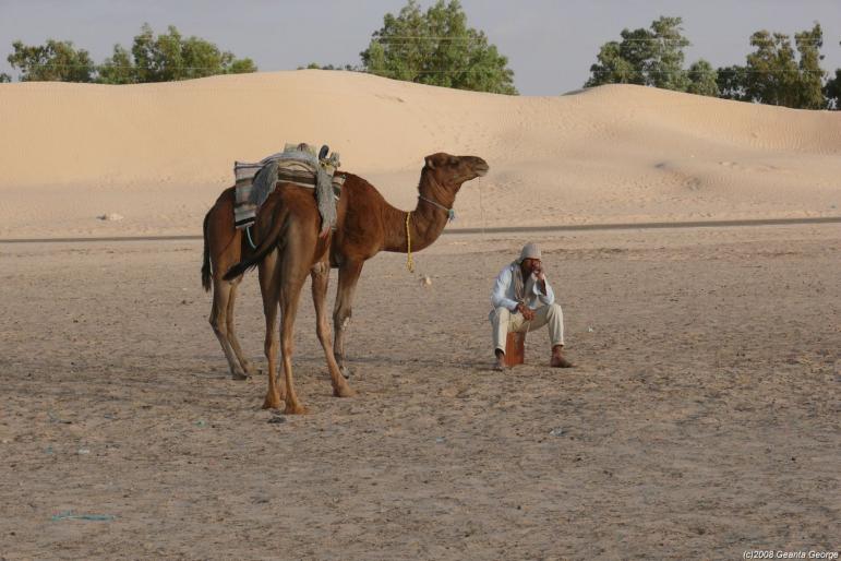 Tunisia_397