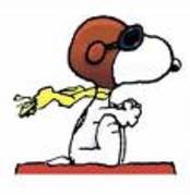 snoopy (28) - snoopy