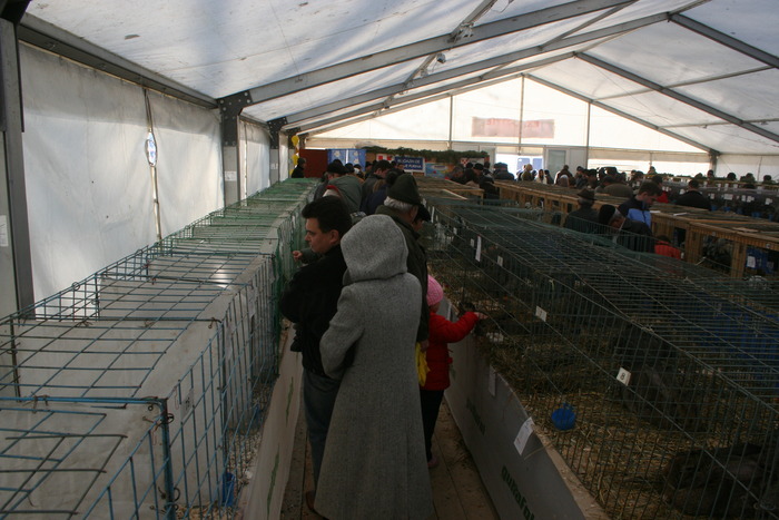 EXPO-PAS Suceava 2009