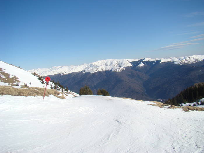 DSC01125 - Bucegi - Valea Izvorul Dorului-Padina