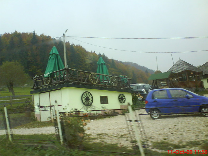 DSC02224 - transfagarasean si flora din Drauseni  BV