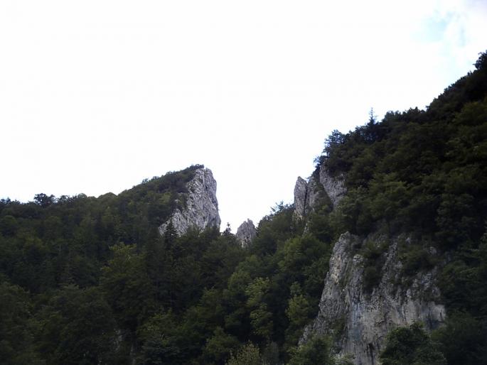 PICT0146