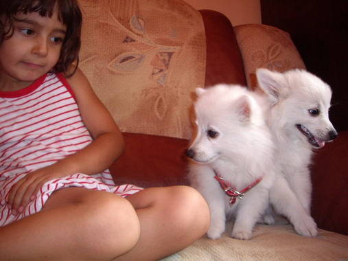 Spitz mic German; Simi si Sini
