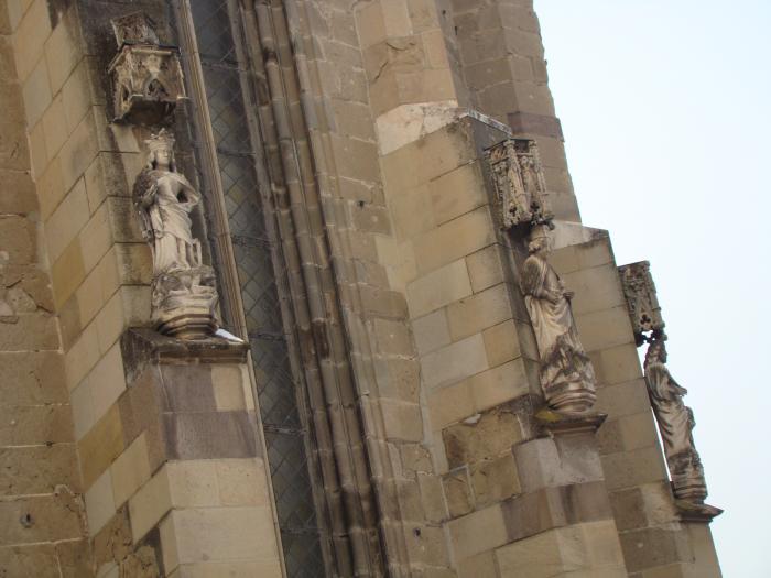 DSC05732 - poze Ianuarie 2009