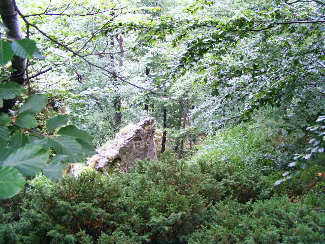 DSCF3267 - Suior Poiana Mlejnita Varful Secatura Creasta Cocosului  din Muntii Guta