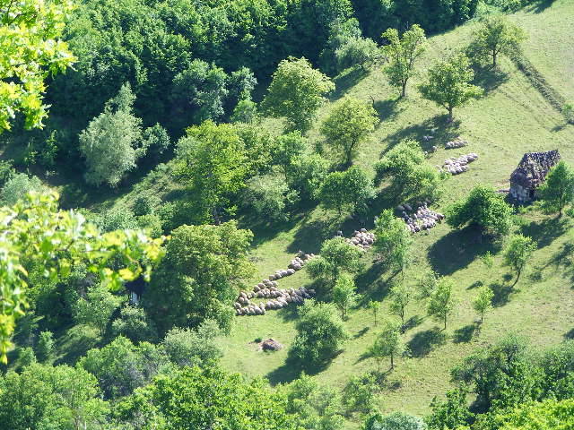 DSCF0642 - Cetatea Chioarului 13 mai 2009