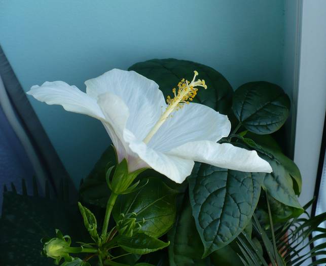 P1110411