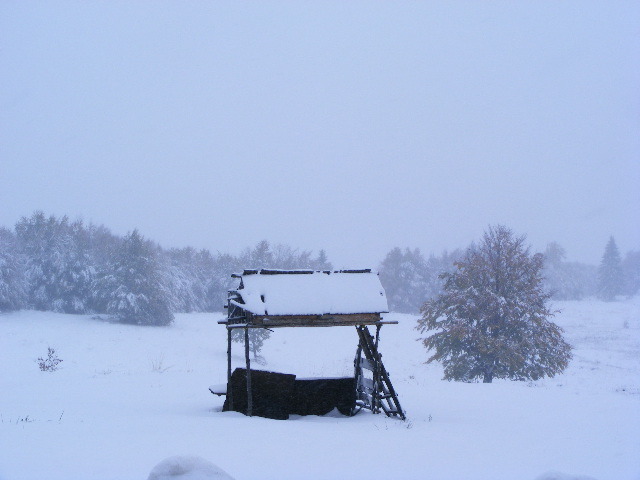 DSCF7304 - ninge in Maramu