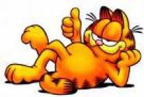 SCSAPRCOHHDAACFXFCR - garfield