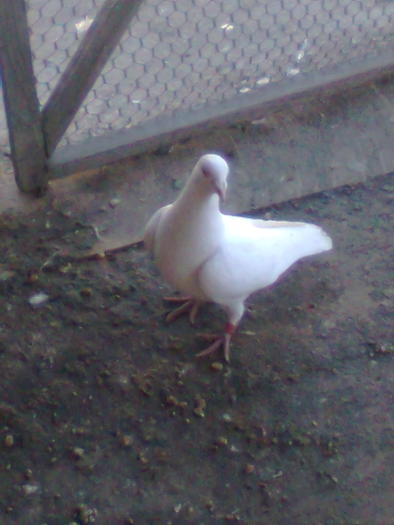 Imagine0220; femela2009
