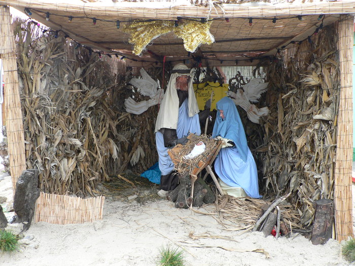 P1040089 - 2008 mos craciun adica eu