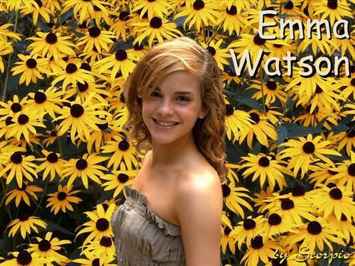 2442577117_48c7a69392 - emma waston