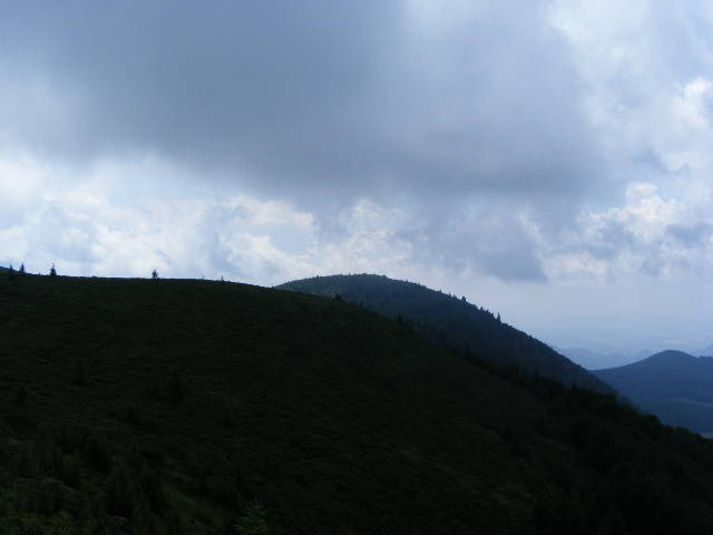 DSCF3154