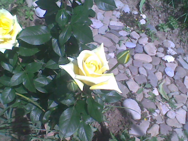 Imag022