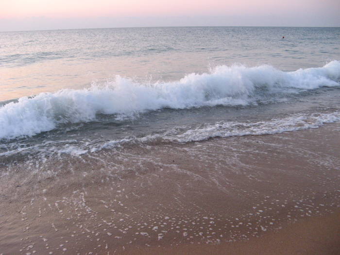 003 - rasarit 09 aug 2009