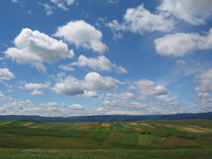 Iulie 2007 - Bucovina