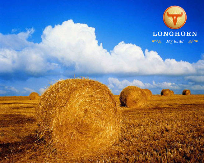 Longhorn M3 - POZE WINDOWS VISTA