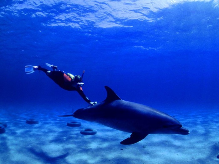 webshots1103 - Animale