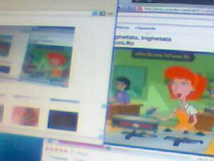 Picture 071 - poze frumoase ptr voi