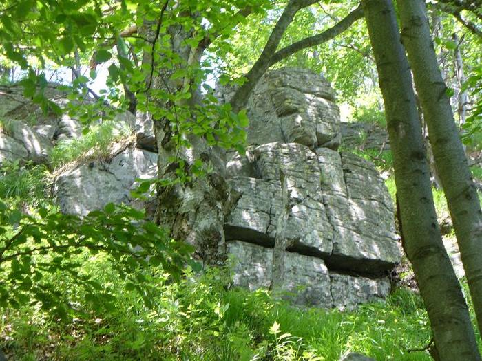 P1000544 - varful Ignis Maramures