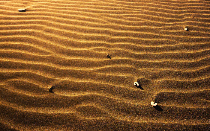 1948_sandy_2560x1600