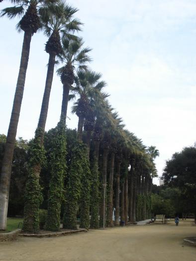 Picture 397; Nicosia de Sud
