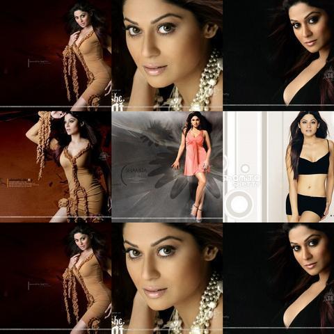 Shamita_Shetty_1256003508_4