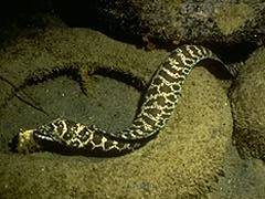 106 - poze muuuuuuuuuuuuuulte