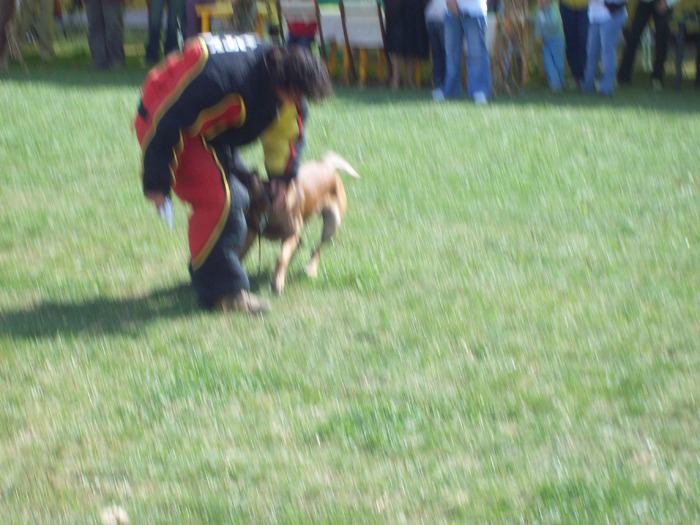 100_8587 - Expo CACIB-Bucuresti 19-20sept2009