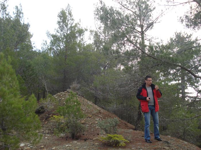 Picture 664; Muntii Troodos
