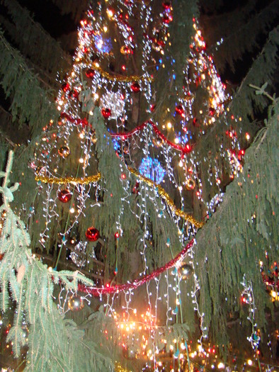 127 - vacanta dec 2009