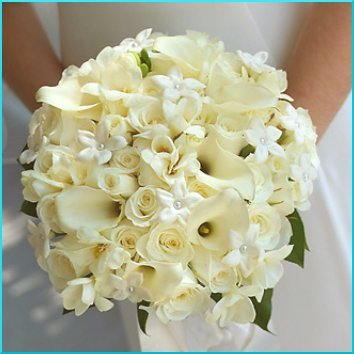 file_1194_m