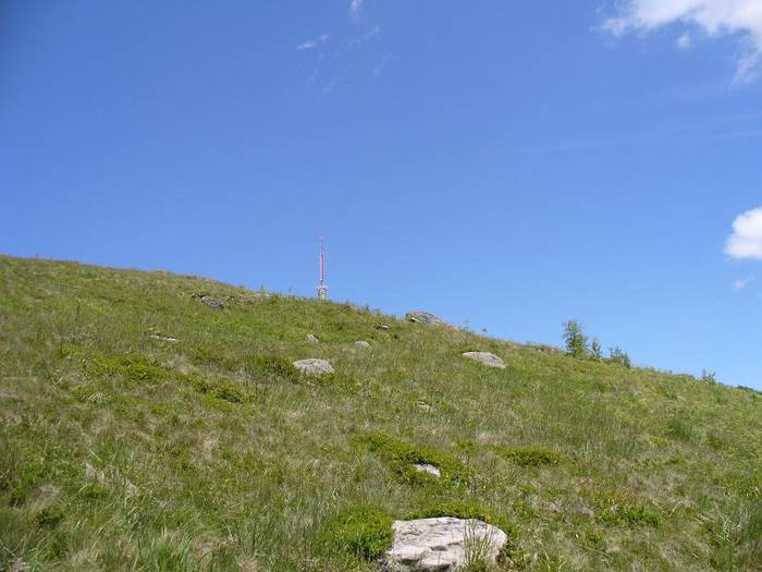 P1000533 - varful Ignis Maramures