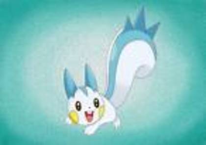 pachirisu; pachirisu
