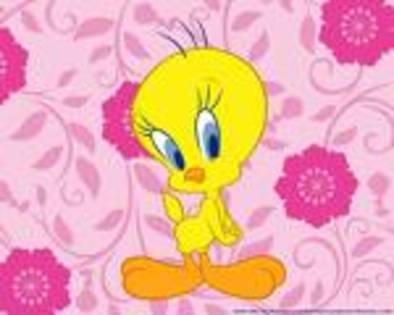 tweety dragut - tweety