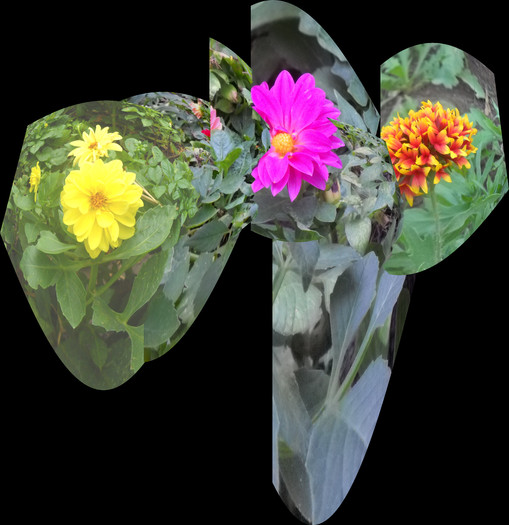 panorama 4o micuta panorama cu florile mele - flori dragute