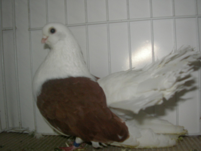 SANY0129