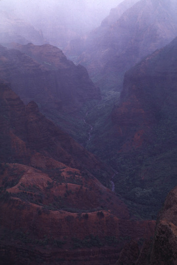 CANYON - Din Natura